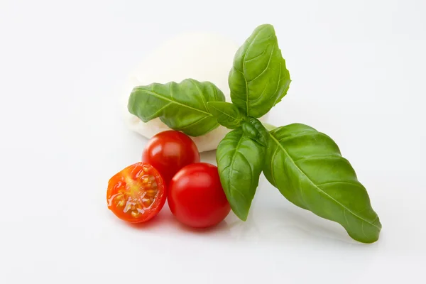 stock image Fresh italian salad ingredients