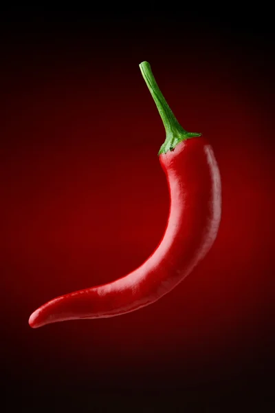 stock image Red hot chilli pepper floating in the air