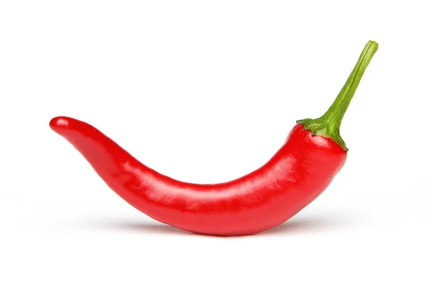 stock image Red chilli pepper on white