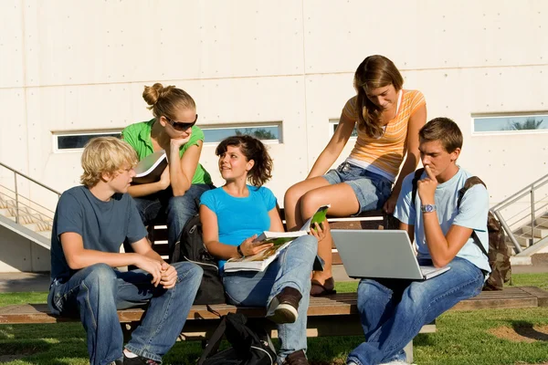 Grupo de estudo ao ar livre de estudantes — Fotografia de Stock