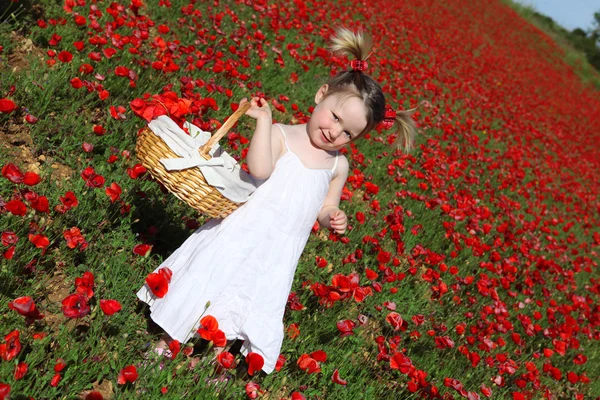 Verão criança colhendo flores — Fotografia de Stock