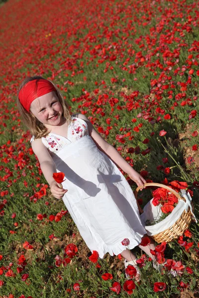 Verano niño recogiendo flores en el prado de amapolas —  Fotos de Stock