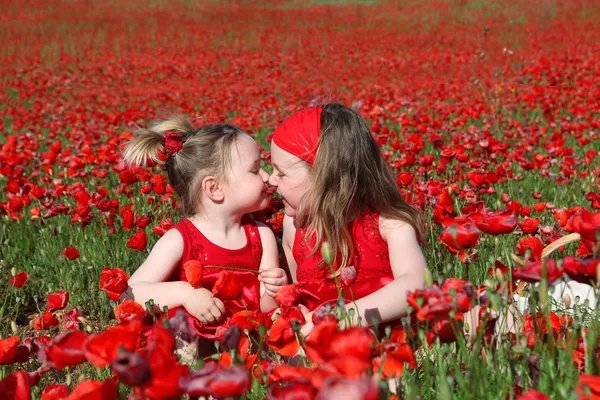 Kleine meisjes zitten in zomer poppy veld — Stockfoto