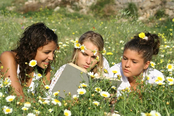 Grupp av friska glada tjejer läser blomma fältet — Stockfoto