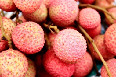 Lychee fruits clipart