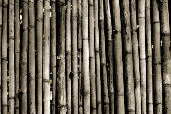 Valla de bambú —  Fotos de Stock