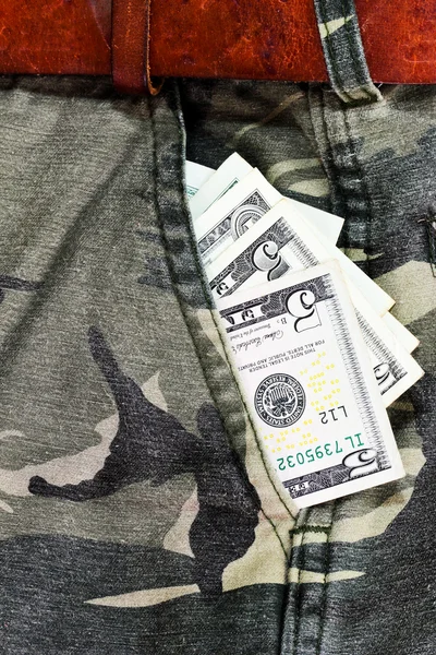 주머니에 미국 달러 — 스톡 사진