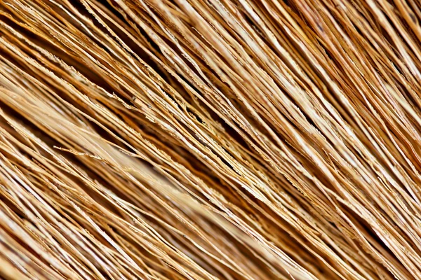 Close-up detail van de textuur van een bezem — Stockfoto