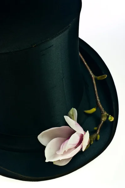Sombrero superior negro —  Fotos de Stock
