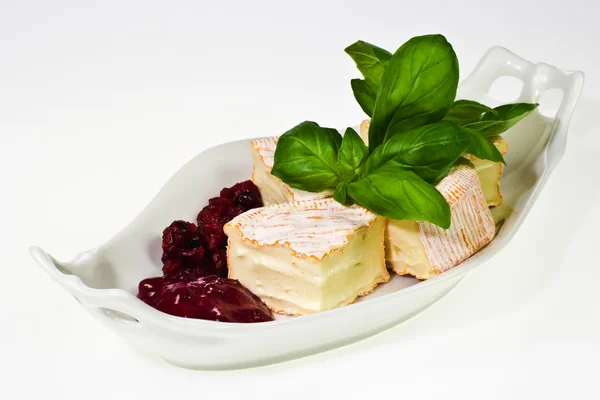 软成熟的奶酪 免版税图库照片