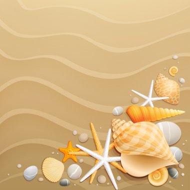 Shells and starfishes on sand background clipart