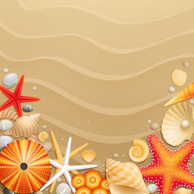 Shells and starfishes on sand background clipart