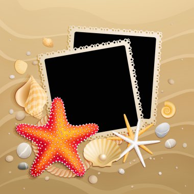 Pictures, shells and starfishes on sand background clipart