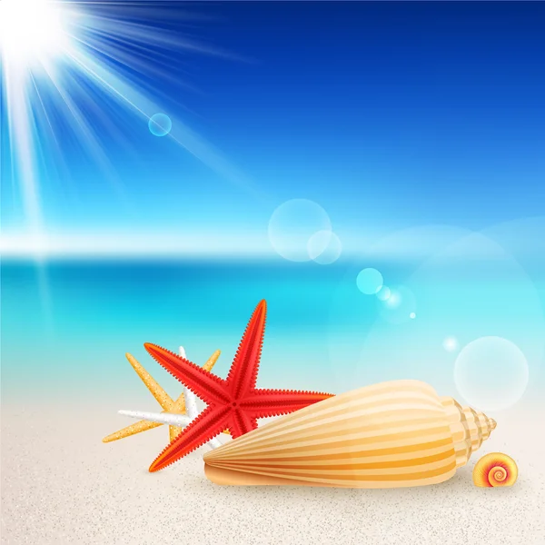 Conchas y estrellas de mar en la playa — Vector de stock