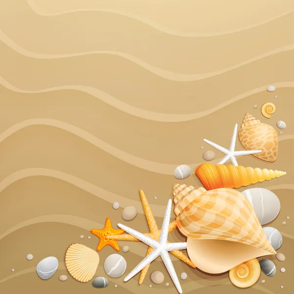 贝壳和砂背景上 starfishes — 图库矢量图片
