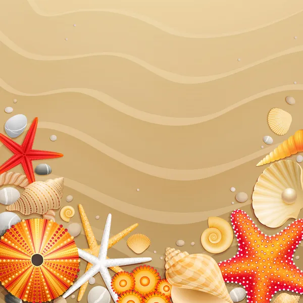Conchas e estrelas-do-mar sobre fundo de areia — Vetor de Stock