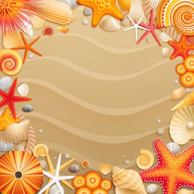 Shells and starfishes on sand background. clipart