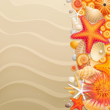 Shells and starfishes on sand background clipart