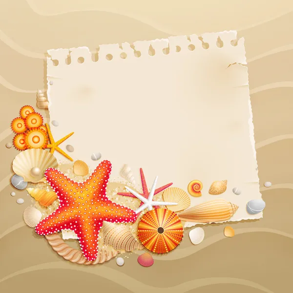 Vintage greeting card with shells — Stock Vector