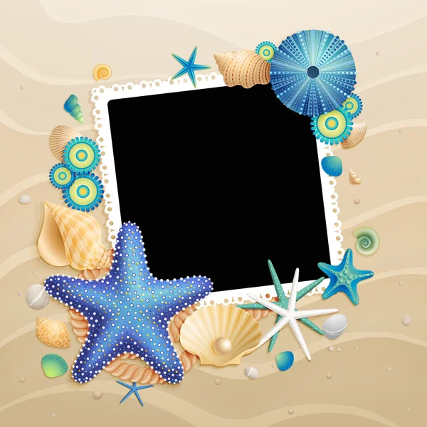 Fotos, conchas e estrelas-do-mar sobre fundo de areia — Vetor de Stock