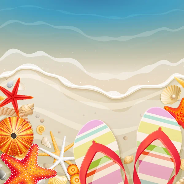 Tongs et coquilles sur la plage — Image vectorielle