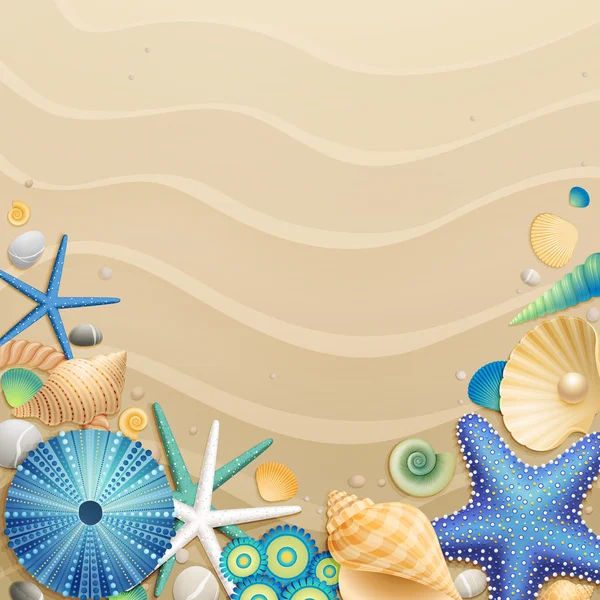 Shells and starfishes on sand background — Stock Vector
