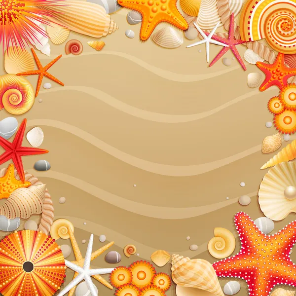 Shells and starfishes on sand background. — Stock Vector