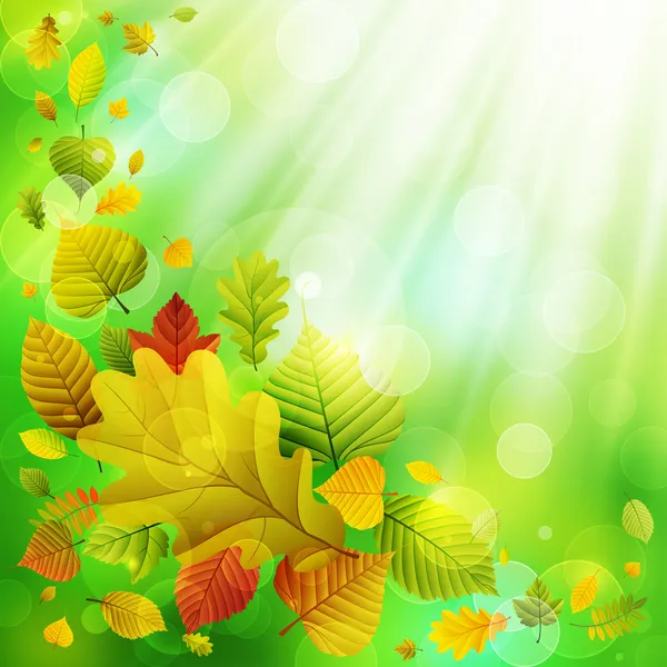 Renkli yapraklı sonbahar arkaplanı — Stok Vektör
