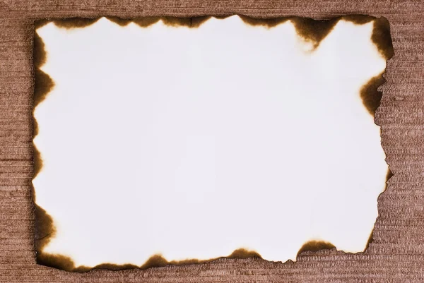 焼き付け紙 — ストック写真