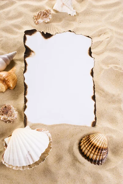 Burned paper with shells — Stock Photo, Image