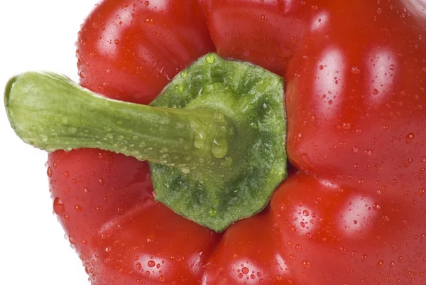 Κόκκινη πιπεριά - closeup — Φωτογραφία Αρχείου