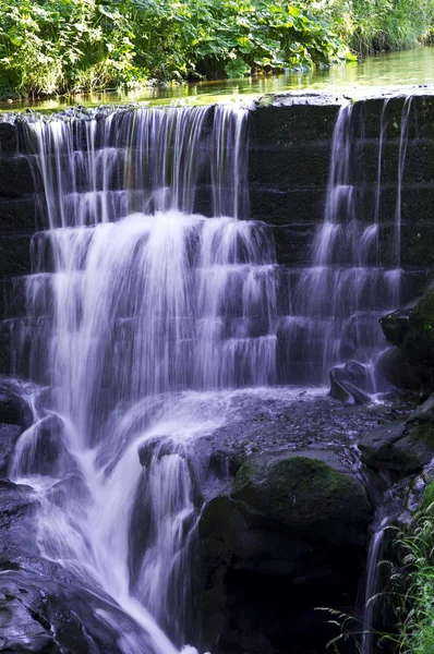 stock image Waterfall