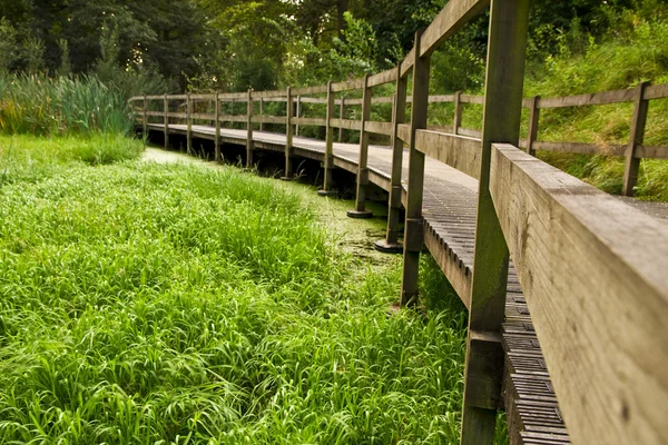 stock image Wooden bridge path