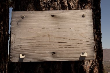 Wood Sign on a tree clipart