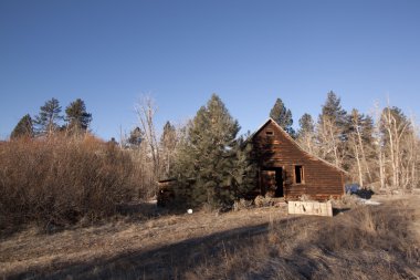 eski vintage kabin woods ormanı terk edilmiş korkunç ahır