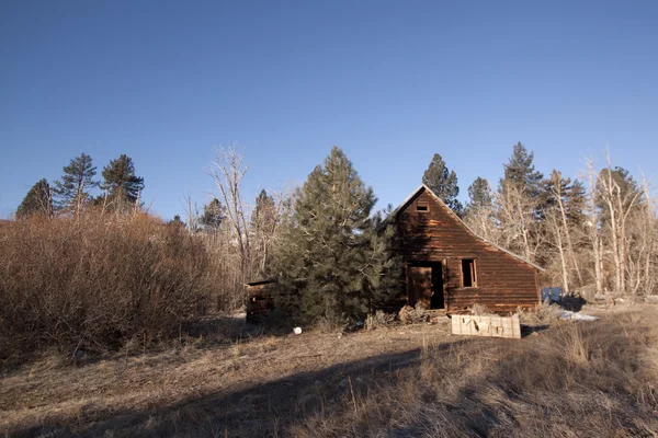 Vechi vintage cabină pădure abandonat hambar înfricoșător — Fotografie, imagine de stoc