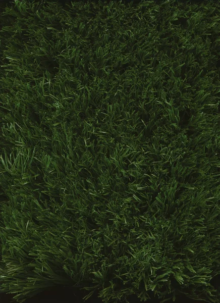 Grünes, frisch gemähtes Gras an einem Sommertag. Parkhof im Freien — Stockfoto