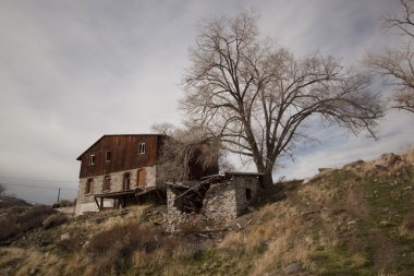 terk edilmiş shack kabin ev ev Ahşap yapı grunge yıpranmış