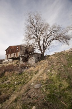 terk edilmiş shack kabin ev ev Ahşap yapı grunge yıpranmış