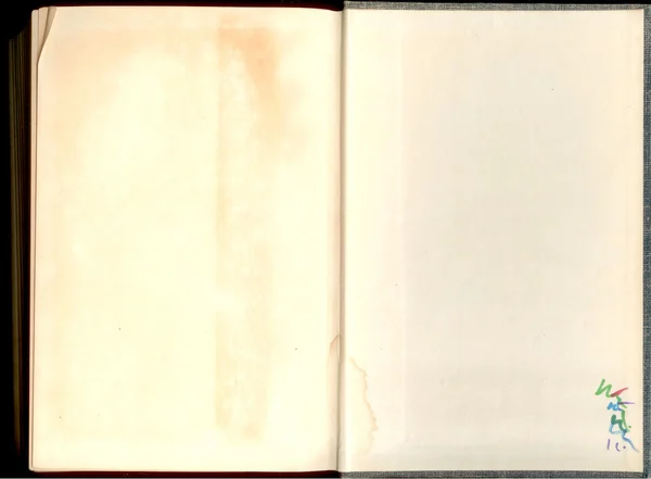Vecchia carta antica da un libro o nota pad sfondo retrò vuoto — Foto Stock