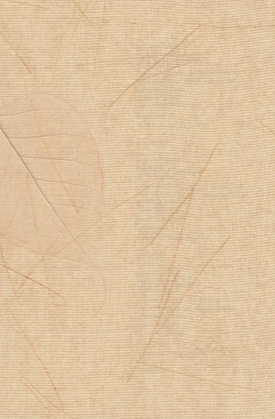 Tkanina tekstura tło projekt ściana papier tapeta elementu wzór — Zdjęcie stockowe