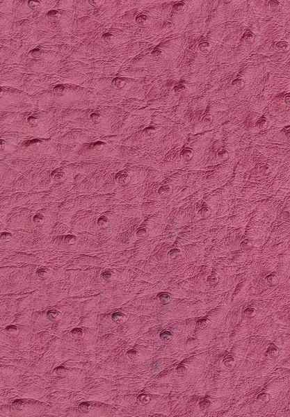 직물 질감 배경 디자인 벽 종이 벽지 요소 패턴 — 스톡 사진