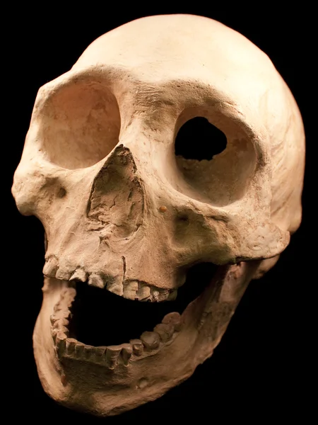 Calavera humana - cabeza de hueso dientes muertos espeluznante espeluznante pirata aislado mal —  Fotos de Stock