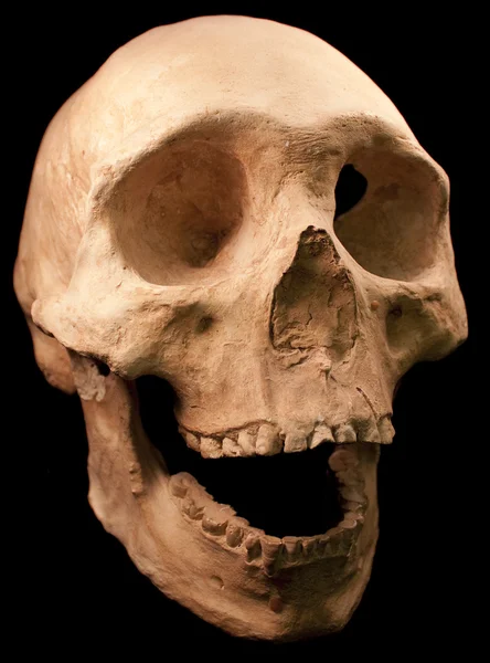 Ανθρώπινο κρανίο - οστών επικεφαλής νεκρών δοντιών απόκοσμο τρομακτικό πειρατής απομονωθεί κακό — Φωτογραφία Αρχείου