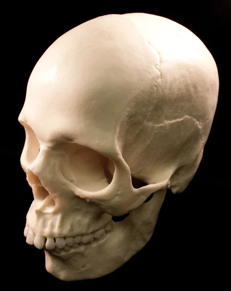 人間の頭蓋骨の骨頭死んでいる歯の不気味な恐ろしい海賊分離悪 — ストック写真