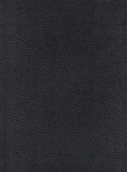 Textura de couro preto fundo texturizado pele esconder animal — Fotografia de Stock