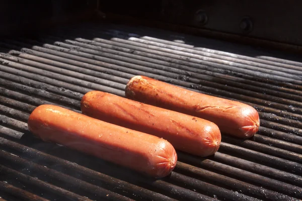 stock image Hot dogs on the grill in summer