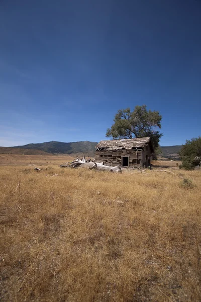 Uma velha cabana abandonada ou um celeiro — Fotografia de Stock