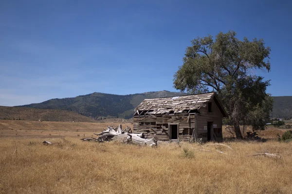 Una vieja choza abandonada o granero — Foto de Stock