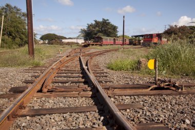 Old rusty tropical train tracks clipart